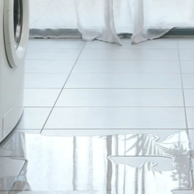 Appliance Leak Cleanup in Monroe, IA