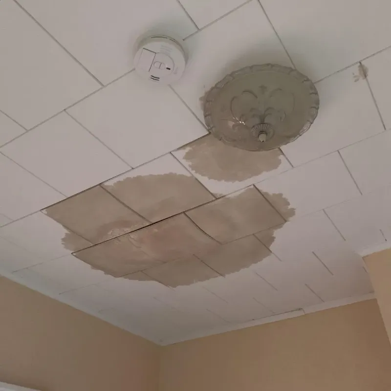 Ceiling Water Damage Repair in Monroe, IA