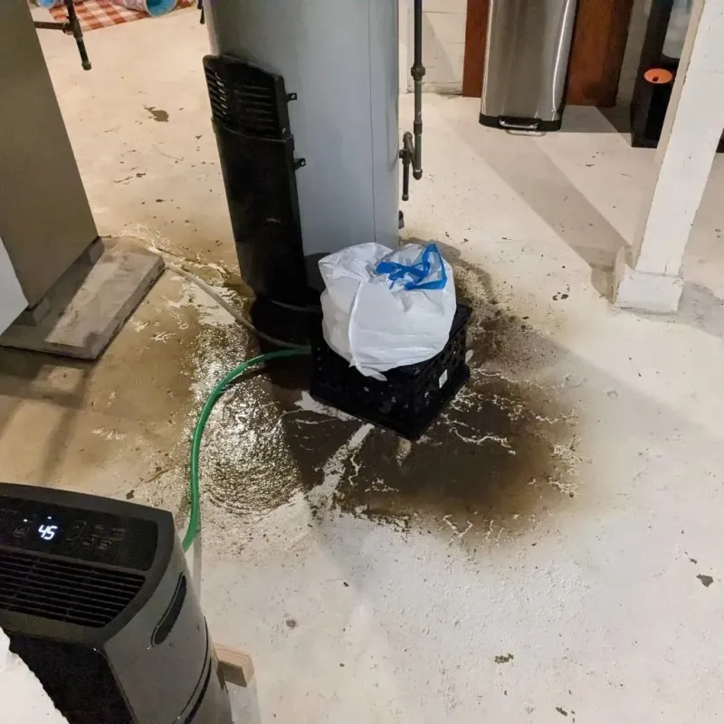 Sewage Backup Cleanup Service in Monroe, IA
